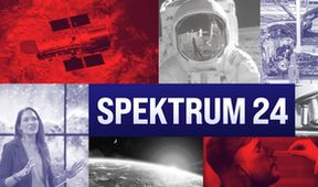 Spektrum 24