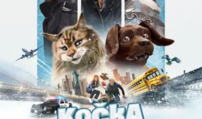 Kočka a pes: Šílené dobrodružství