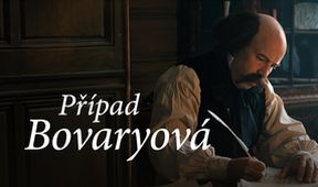 Případ Bovaryová