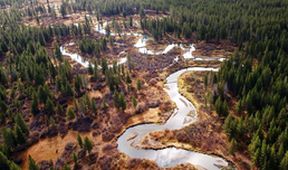 Velké řeky světa - Amazonka, Zázračná planeta