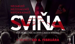 Sviňa