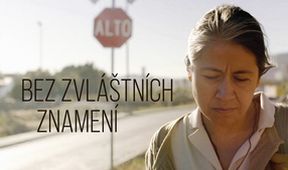Bez zvláštních znamení, Kino Art