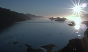Divoké Chile (1)