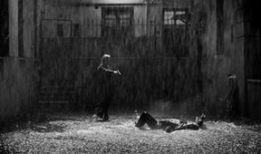 Suburra