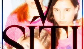V sieti