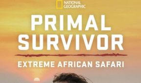 Umění přežít: Africké safari (3)