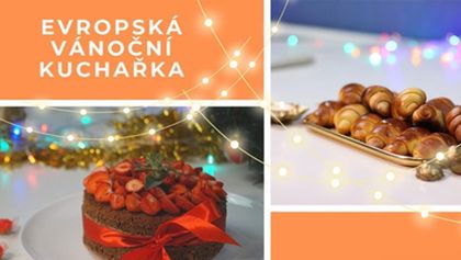 Evropská vánoční kuchařka (11)