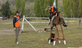 The Amazing Race XXXV (8)