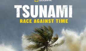 Tsunami: Závod s časem (2)