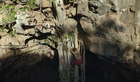 Umění přežít: Africké safari (1)