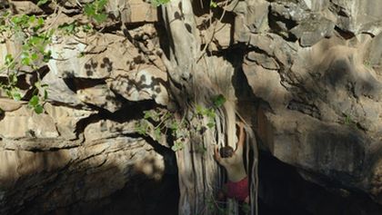 Umění přežít: Africké safari (1)