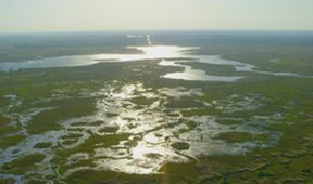 Velkolepá Afrika (3)