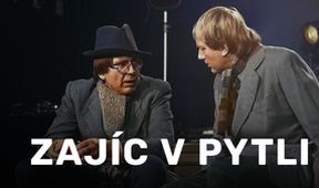 Ze Soboty na Šimka aneb Zajíc v pytli