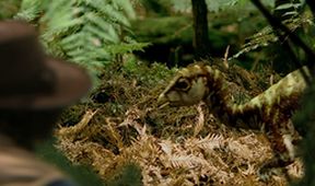 Andyho dobrodružstvá s dinosaurami