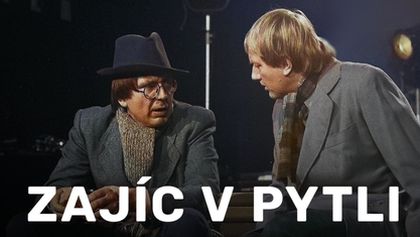 Zajíc v pytli