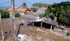 Tsunami: Závod s časem (3)