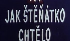 Jak štěňátko chtělo malé pejsky