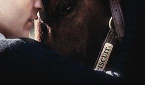 Seabiscuit - Mit dem Willen zum Erfolg
