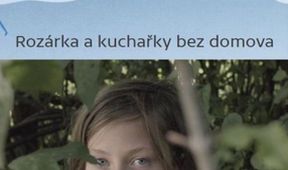 Rozárka a kuchařky bez domova