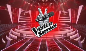 The Voice Senior VI