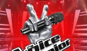 The Voice Senior VI