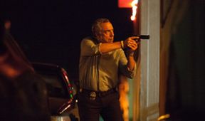 Bosch IV (2/10)