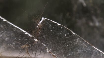 Horalové XIII (1)