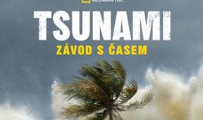 Tsunami: Závod s časem (4)