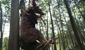Případy detektiva Murdocha XII (3/18)