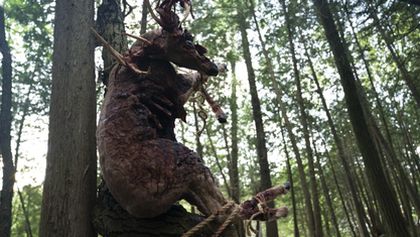 Případy detektiva Murdocha XII (3/18)