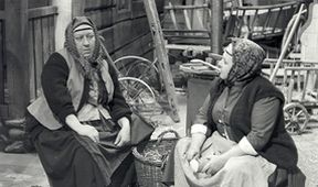 Ženský zákon