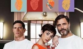 Srdce (5/16)