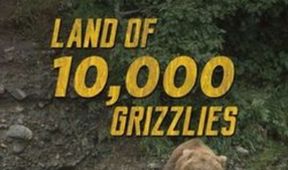 Země plná grizzlyů