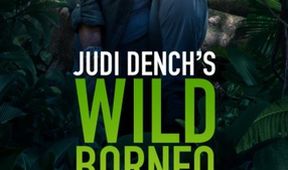 Divoké Borneo Judi Denchové