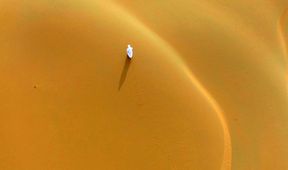 Oasis