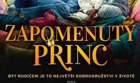 Zapomenutý princ