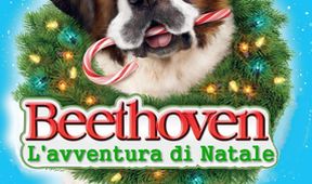 Beethovenovo vianočné dobrodružstvo