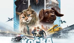 Kočka a pes: Šílené dobrodružství