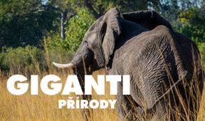 Giganti přírody