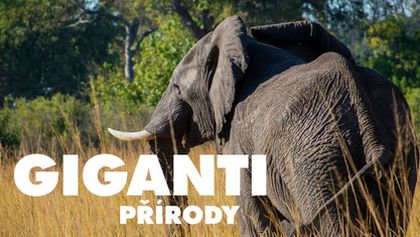 Giganti přírody