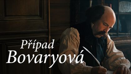 Případ Bovaryová