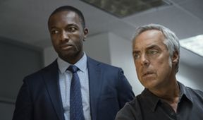 Bosch III (10/10)