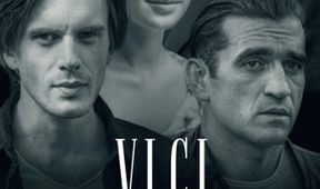 Vlci (38)
