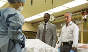 Bosch II (6/10)