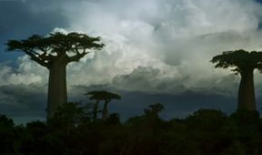 Madagaskar (Zjavenia Panny Márie v Anosivolakely)