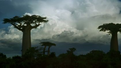 Madagaskar (Zjavenia Panny Márie v Anosivolakely)