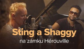 Sting a Shaggy na zámku Hérouville, Hudební klub