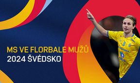 MS ve florbalu mužů 2024 Švédsko, Florbal