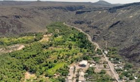 Oasis