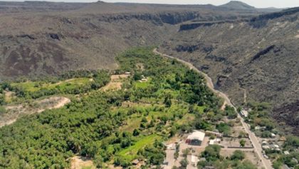 Oasis